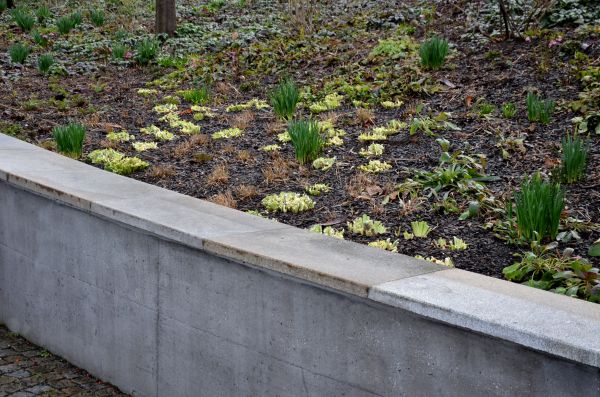 Concrete Wall Construction in Portland