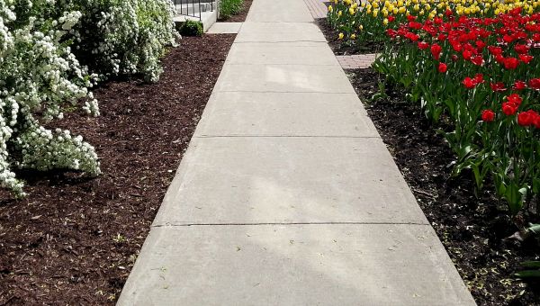 Cost of Sidewalk Slab Replacement in Portland